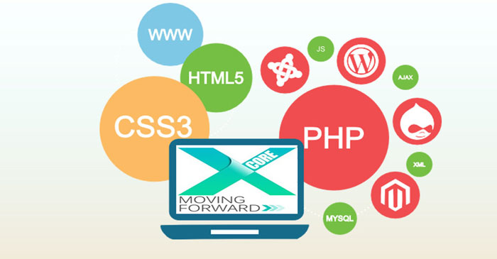 Website Development Website Development